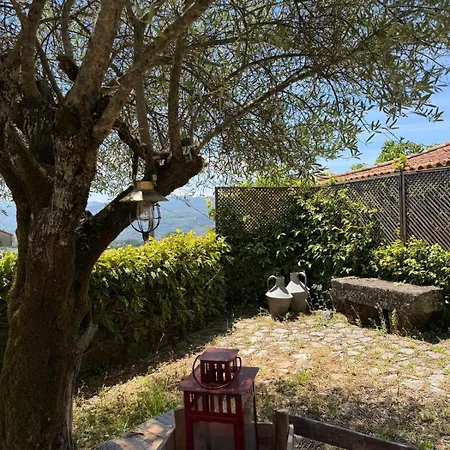 Casa Da Mina A Peaceful Haven In Douro Valley * Candeiro